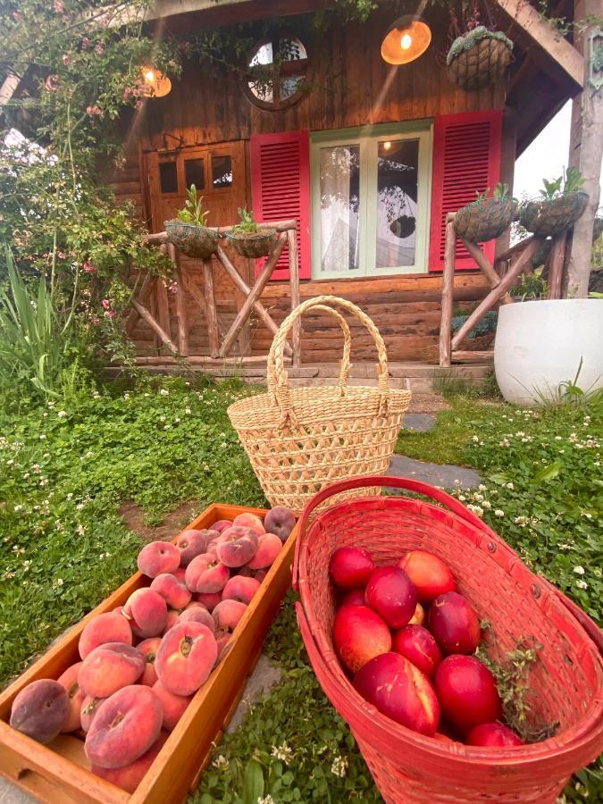 Meena Bagh Ratnari- An Apple Orchard Bungalow Bagi Eksteriør billede