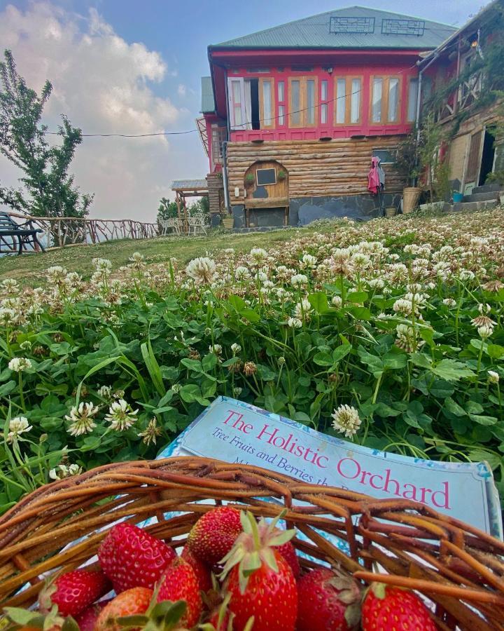 Meena Bagh Ratnari- An Apple Orchard Bungalow Bagi Eksteriør billede
